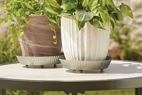 large indoor planter with saucer|More.